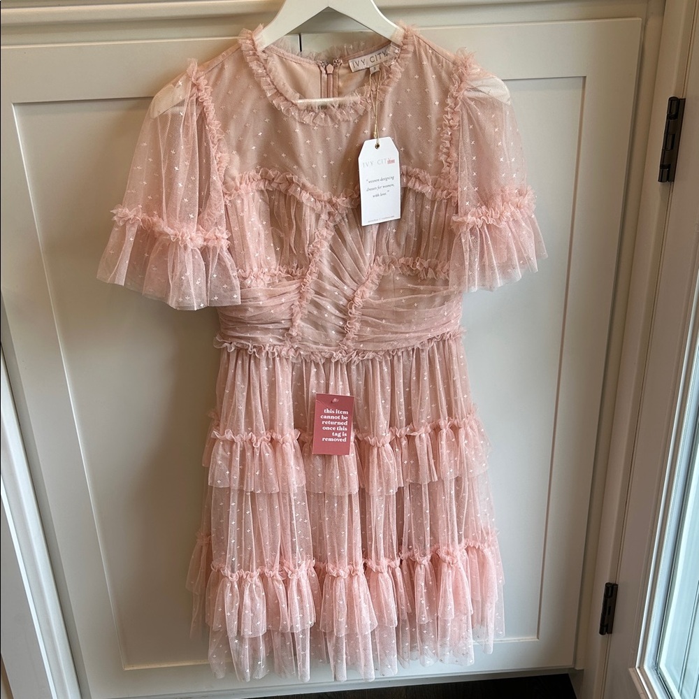 IVY CITY NWT Blush Whimsicl  Dress
